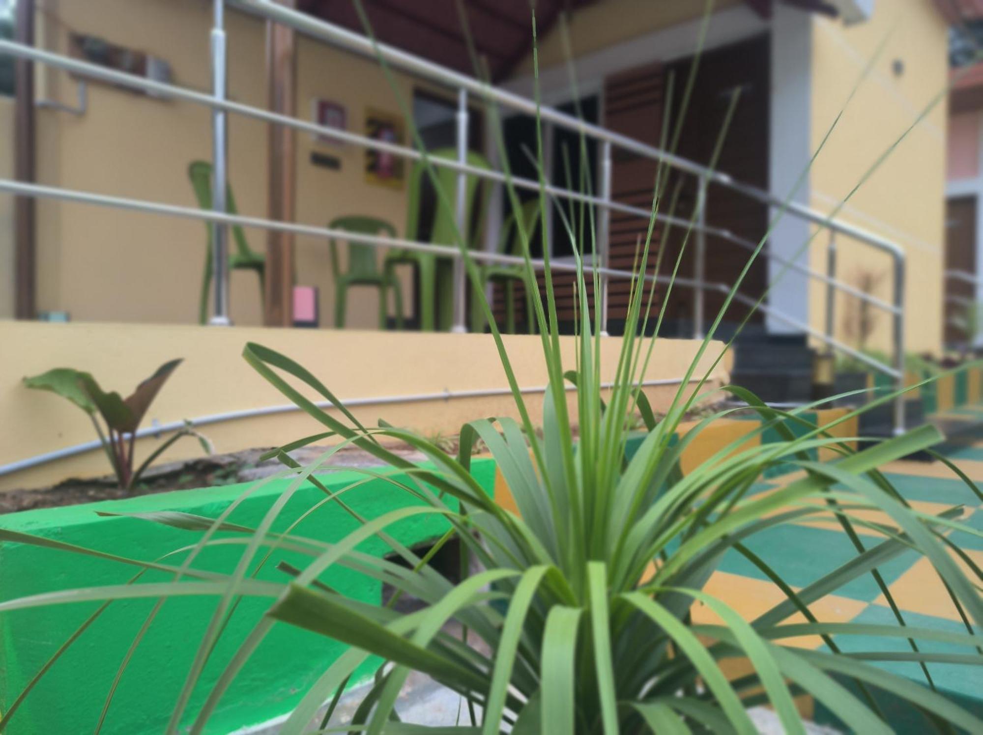 Kanna Garden By Bodhi Bungalows Kolli-hegység Kültér fotó