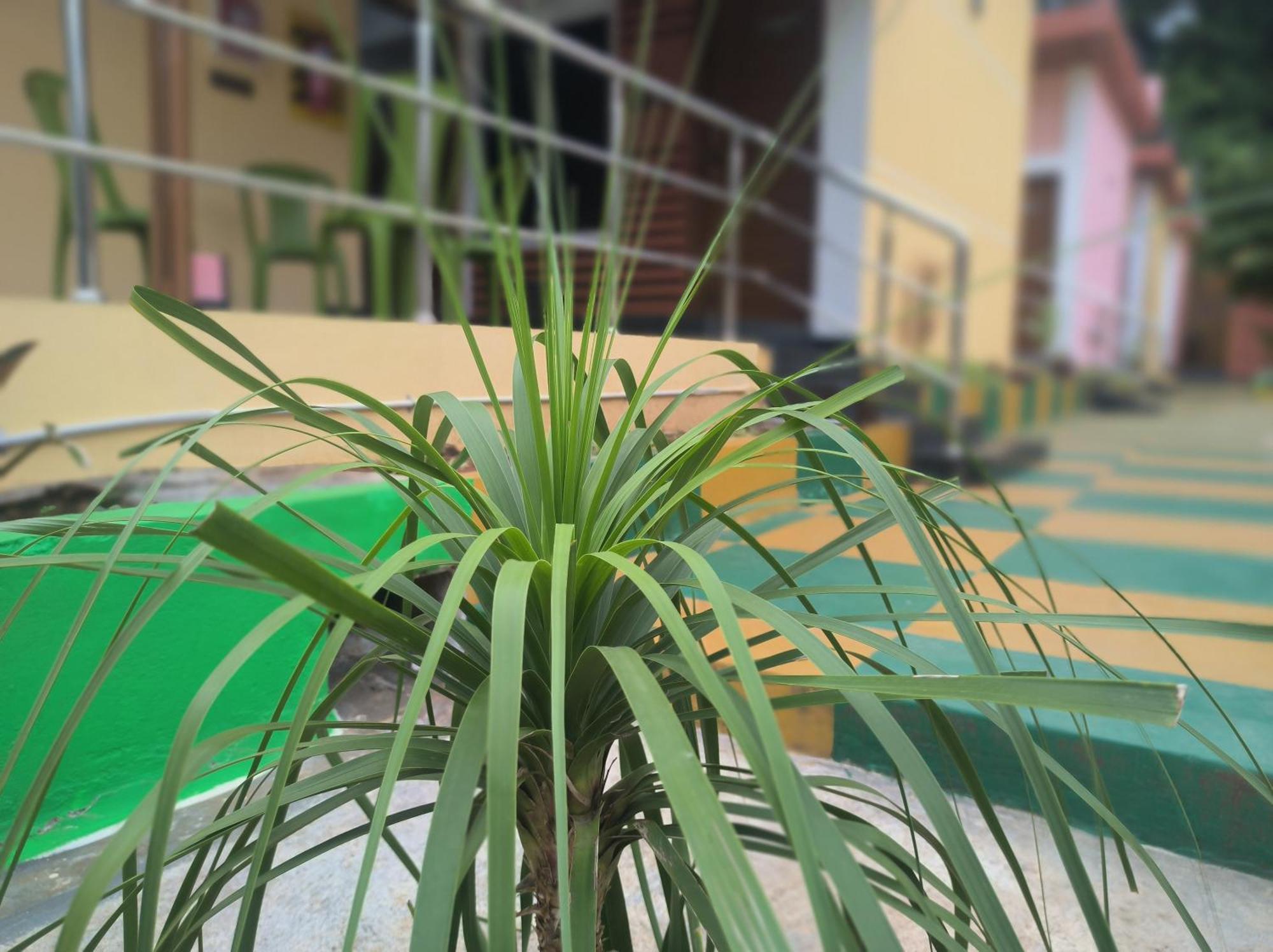 Kanna Garden By Bodhi Bungalows Kolli-hegység Kültér fotó